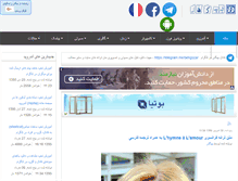 Tablet Screenshot of behgozar.com